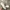 Nike Streetwear Y2K Sneakers Wanita white khaki photo 2