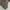 Lee Vintage Streetwear Bag Pria brown photo 5