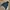 Uniqlo Vintage Casual Windbreaker Wanita black photo 1