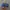 Nike Streetwear Sportswear Sneakers Pria multicolor photo 4