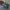 Nike Streetwear Sportswear Sneakers Pria multicolor photo 2