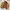 Vintage Casual Harrington jacket Pria tan cream photo 5