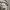 Casual Hoody Pria gray photo 4