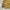 H&M Vintage Casual Harrington jacket Pria tan cream photo 3