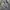 ZARA Minimalist Bucket bag Wanita purple photo 7