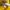Casual Jersey Pria yellow photo 7