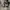 Vintage Grunge Fur coat Wanita brown black photo 4