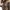 Vintage Grunge Fur coat Wanita brown black photo 2