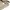 Project M Casual Polo shirt Pria tan photo 4
