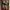 Goth Emo Short Wanita white navy photo 8