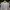 CELINE Casual T-shirt Pria white blue photo 2