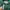 Vivastudio Casual Casual shirt Pria green photo 3