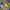 Vintage Jersey Pria blue yellow photo 2