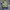 Vintage Jersey Pria blue yellow photo 1