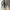 Adidas Sportswear Sneakers Pria brown gray photo 5