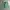 niko and ... Streetwear Short Pria green photo 2