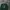 Champion Vintage Casual Sweatshirt Pria green photo 2