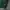 Champion Vintage Casual Sweatshirt Pria green photo 5