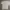 Gramicci Streetwear T-shirt Pria multicolor cream photo 7