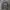 Outdoor Research Streetwear Casual Sweatshirt Pria Gray