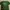 Nike Streetwear Sportswear T-shirt Pria green photo 1