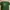 Nike Streetwear Sportswear T-shirt Pria Green