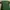 Nike Streetwear Sportswear T-shirt Pria green photo 2