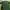 Nike Streetwear Sportswear T-shirt Pria Green
