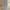 Dickies Casual Casual pants Pria khaki photo 3
