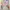 Old Navy Streetwear Skater Crop Top Wanita Multicolor