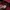 Streetwear Sportswear Windbreaker Pria navy red photo 4