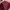 Streetwear Sportswear Windbreaker Pria navy red photo 1