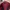 Streetwear Sportswear Windbreaker Pria Navy Red