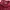 Streetwear Sportswear Windbreaker Pria Navy Red