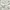 Shein Cottagecore Coquette Summer dress Wanita white photo 5