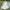 Shein Cottagecore Coquette Summer dress Wanita white photo 2