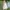 Shein Cottagecore Coquette Summer dress Wanita white photo 3