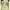 Fairy Coquette Evening dress Wanita green photo 1