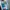 Adidas Vintage Streetwear Windbreaker Pria multicolor photo 5