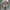 Y2K Skater Hoody Pria gray photo 3