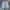 Levi's Streetwear Y2K Short Pria blue photo 1