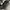 Hard Rock Cafe Vintage Hat Pria black photo 8