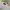 Polo Ralph Lauren Streetwear Fleece Pria white photo 5
