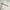 Streetwear Sportswear Sweatshirt Pria white photo 5