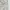 Raton Laveur Streetwear Y2K Casual pants Pria cream photo 4