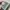 MCM Luxury Lolita Crossbody Bag Wanita multicolor photo 2