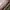 MCM Luxury Lolita Crossbody Bag Wanita multicolor photo 6