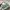 MCM Luxury Lolita Crossbody Bag Wanita Multicolor