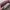 MCM Luxury Lolita Crossbody Bag Wanita multicolor photo 5
