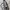 MCM Luxury Lolita Crossbody Bag Wanita multicolor photo 4